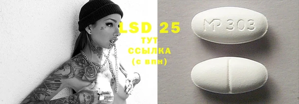 скорость Каменка