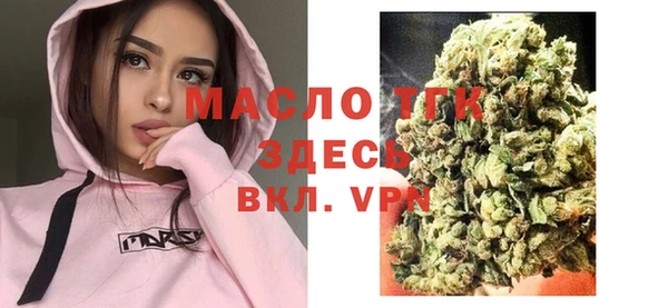 скорость Каменка