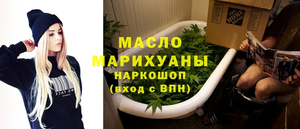 скорость Каменка