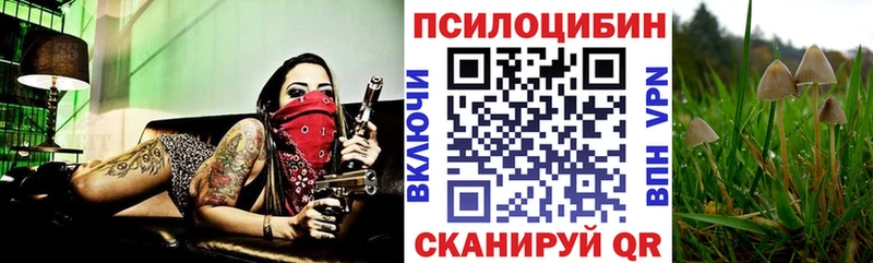 Галлюциногенные грибы Cubensis  Купить где  Верещагино 